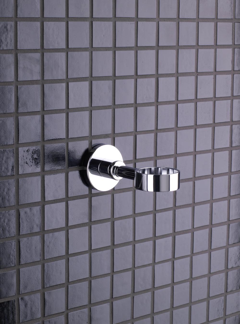 T5: Towel ring.